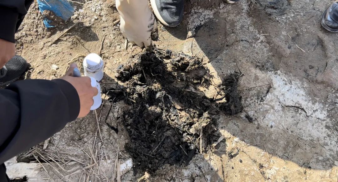 消失的污泥去哪儿了?- 消失的污泥去哪儿了?-