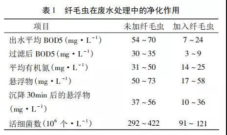 活性污泥中毒的原因及控制调节- 活性污泥中毒的原因及控制调节-