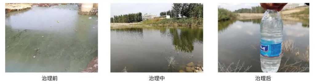 环保科技篇।治水先治泥?不,我们泥水共治!- 环保科技篇।治水先治泥?不,我们泥水共治!-