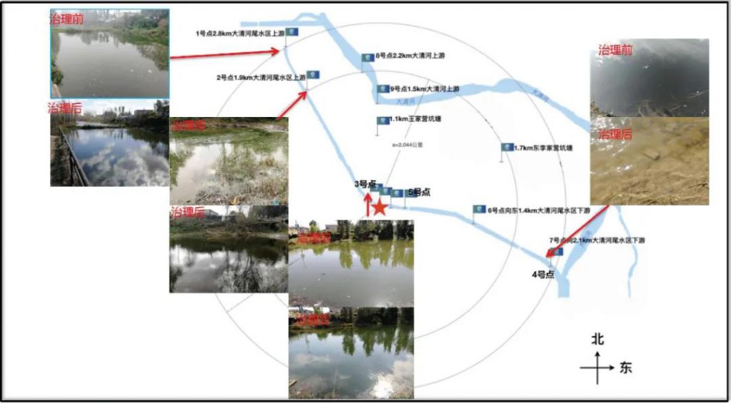 环保科技篇।治水先治泥?不,我们泥水共治!- 环保科技篇।治水先治泥?不,我们泥水共治!-