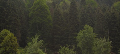 环境部答复“建议国家加大对固体废物处理技术和专项设备的研发投入，增加专业处理机构的数量”的建议