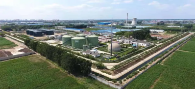 将“碳”进行到底！农业农村减排固碳“加速中”