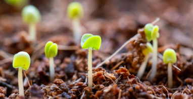 环保展 | 中共中央办公厅 国务院办公厅关于加强生态环境分区管控的意见