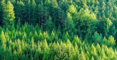 上海环保展|生态环境部审议并原则通过《关于进一步优化重污染天气应对机制的指导意见》