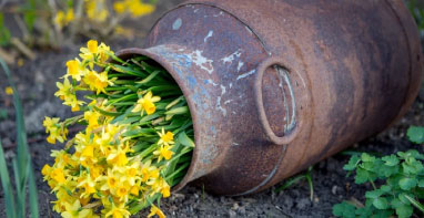 中国环保展|全面推进：中国环保展揭示全国各地环保新政策与实施策略