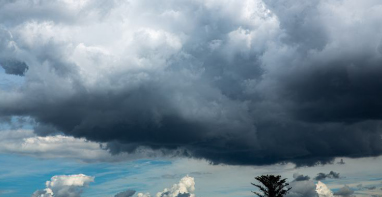 中国环保展|为什么这6家涉VOCs排放的企业能得到豁免VOCs收集或治理？