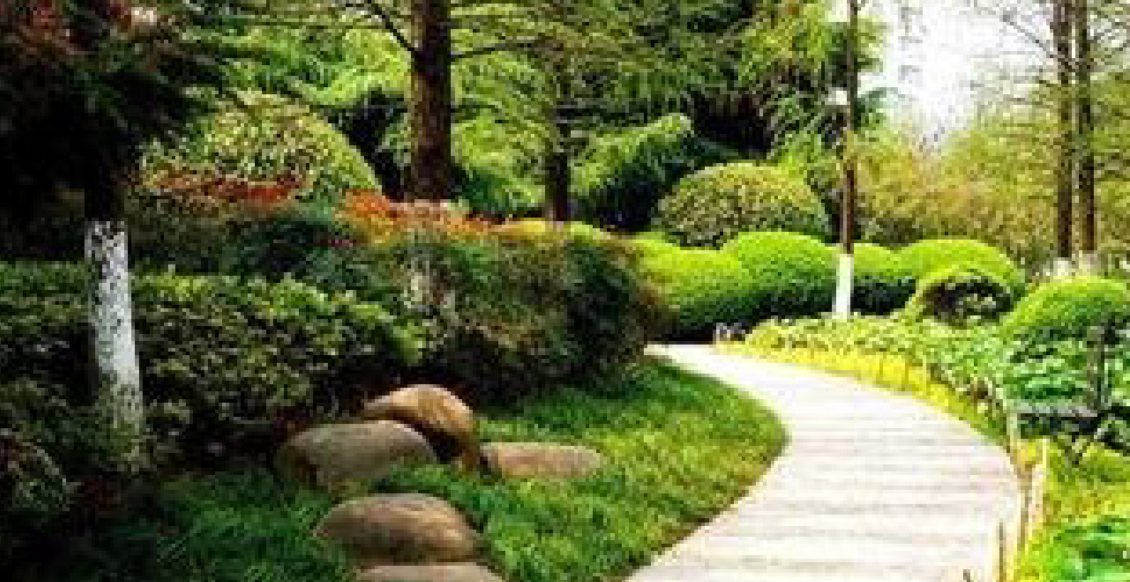 环保展|温室气体排放环境影响评价典型案例：伦敦恩菲尔德电站设备升级改造项目